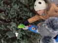 /album/elokovane-pracovisko-kalinov-triedy-zabky-hviezdicky-slimaciky/img-2397-jpeg/