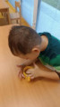 /album/elokovane-pracovisko-kalinov-triedy-zabky-hviezdicky-slimaciky/received-685137437695829-jpeg/