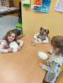/album/elokovane-pracovisko-kalinov-triedy-zabky-hviezdicky-slimaciky/received-1689040755431979-jpeg/
