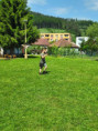 /album/27-05-2026-sokoliari/img-20260527-100242-jpg/