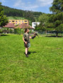 /album/27-05-2026-sokoliari/img-20260527-100418-jpg/