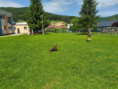 /album/27-05-2026-sokoliari/img-20260527-101023-jpg/