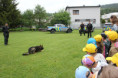 /album/2-6-2026-mdd1/img-0623-jpg/