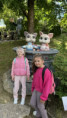 /album/elokovane-pracovisko-michalkov-triedy-lienky-sovicky/img-6641-jpeg/