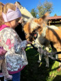 /album/elokovane-pracovisko-kalinov-triedy-zabky-hviezdicky-slimaciky/messenger-creation-e8afcd11-1684-46f1-a4c7-b5c49f295418-jpeg/